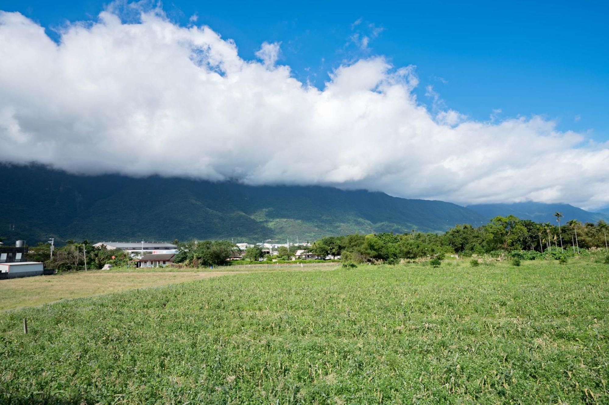 Апартаменты Hualien Travel Dahan Экстерьер фото